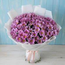 Букет цветов из:  Хризантемы в Жуковский