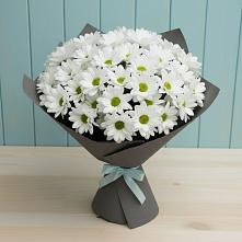 Букет цветов из:  Хризантемы в Жуковский