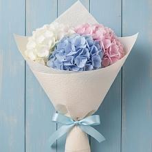 Букет цветов из:  Гортензия в Жуковский