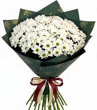 Букет цветов из:  Хризантемы в Жуковский