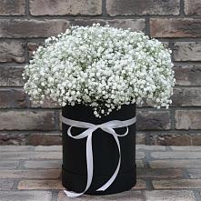 Цветочная композиция из Гипсофила в шляпной коробке #REPLACE_PRED# Жуковский