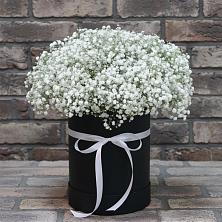 Цветочная композиция из Гипсофила в шляпной коробке в Жуковский