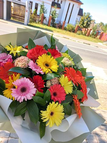 Букет цветов из: Герберы в Жуковский