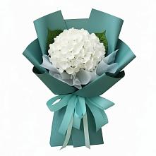 Букет цветов из:  Гортензия в Жуковский
